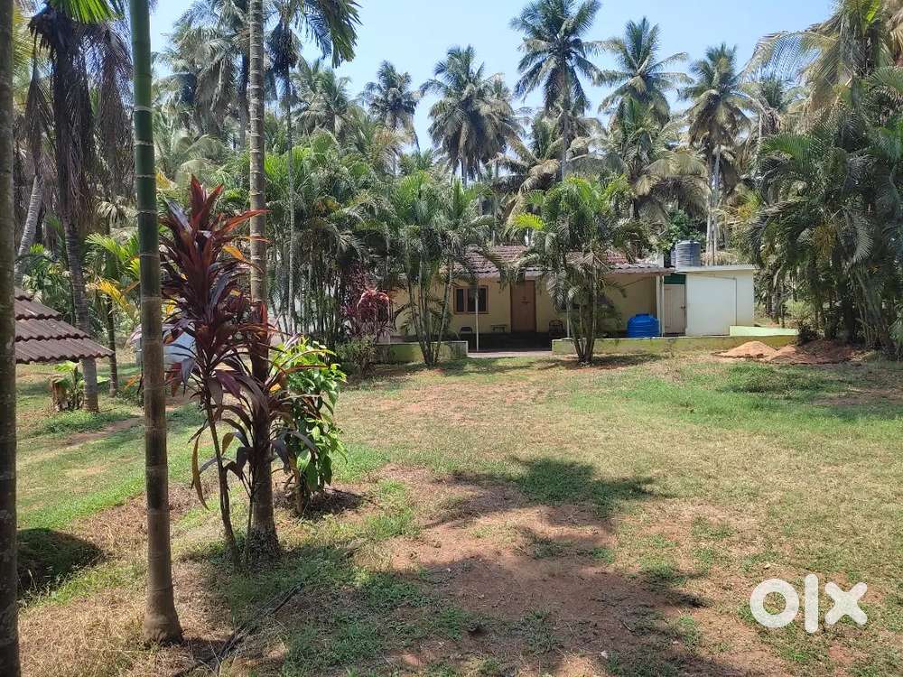 5acres sale  R.gopalapuram Pollachi Tk .15 km to pollachi .62 lack