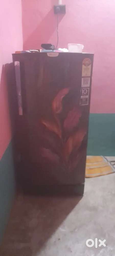 Bisnu dube