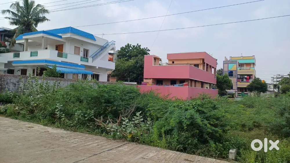 PODALAKUR ROAD NCC COLONY NEAR MAIN ROAD 150 METTERS ONLY ANK COAT 3.6