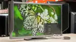 BenQ Zowie XL2546K 240Hz DyAc Gaming Monitor  Sealpack