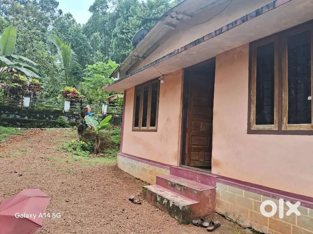 28 cent &2 bhk house for sale in vakathanam Kottayam ( negotiable)