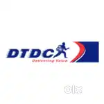 DTDC COURIER BOY