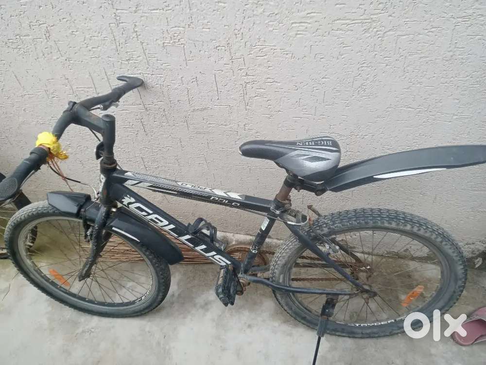 Please buy this bicycle