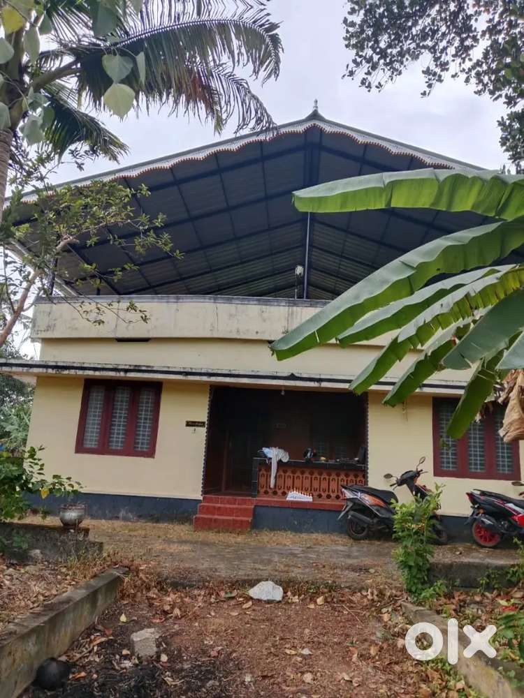 2 bhk house for rent