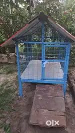 New Dog cage for sale
