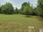 House plot for sale in Menonpara, Palakkad