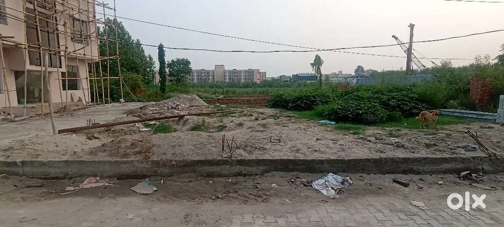 Opposite patanjali phase 1, behind hanuman temple