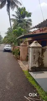 15.5 cent plot with an old house of 950sqft  for sale near mannar