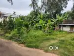 9 cents land with small shed house