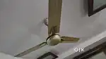 Celling Fan