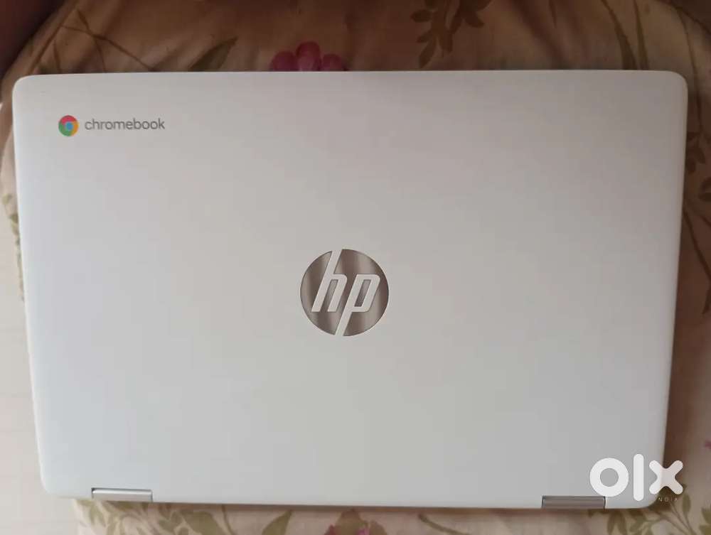 Ho chromebook