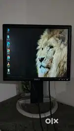 Dell Moniter