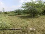 Neelgund developer N/A plot urgent sale