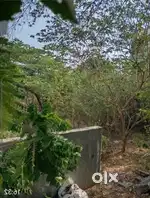 Vinayaka Nagar Ranebeenur