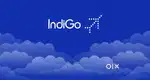 Bright career opportunities in indigo airlines authority