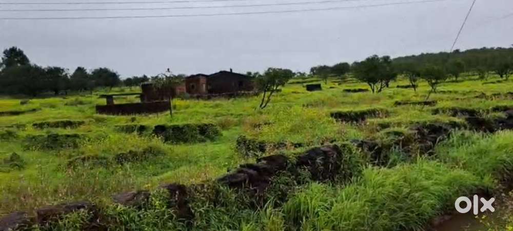 Hapus Baug 60 acre