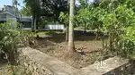 6 cent plot for sale
