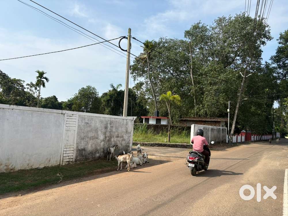Thuthiyoor 3.4,6 cent residential plot for sale