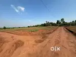 30 Decimal General plot, Rourkela.. 1,50,000 per decimal near NH 320D