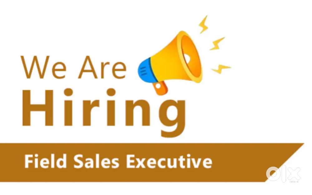 Sales executive