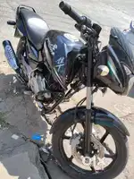 Pulser 150