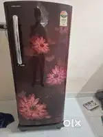 Fridge New one
