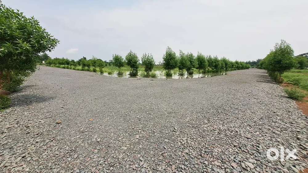 FARM HOUSE PLOT SEJBAHAR