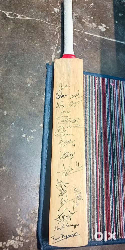 cricket bat of punjab kings ipl team