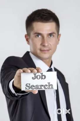 Fresher candidates apply Now Bank Job vacancies open