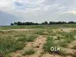 लाख 6 बीघा ज़मीन बिकाऊ है