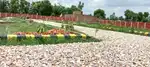 Sale the plots