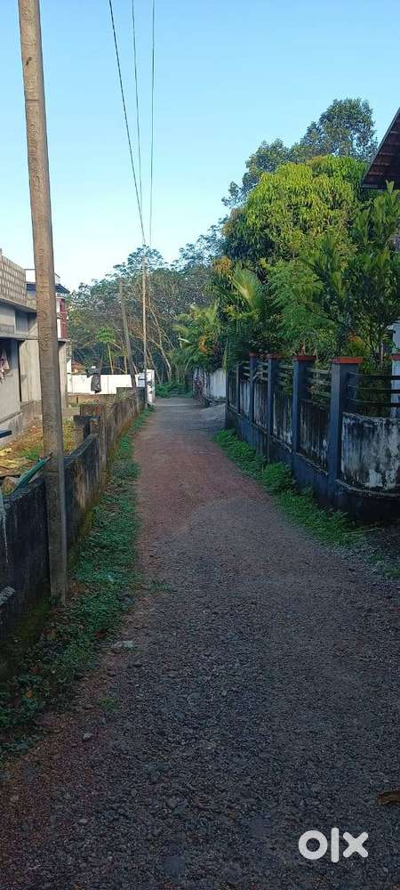 plot for sale @ Thengana