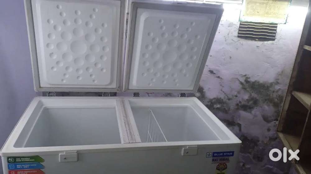 Blue star deep freezer