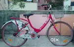 Ladybird Cycle
