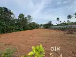 AGRICULTURAL LAND FOR RENT – READY TO CULTIVATE!