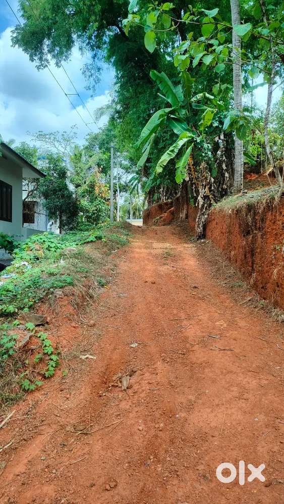 chelavoor Bharathan bazar