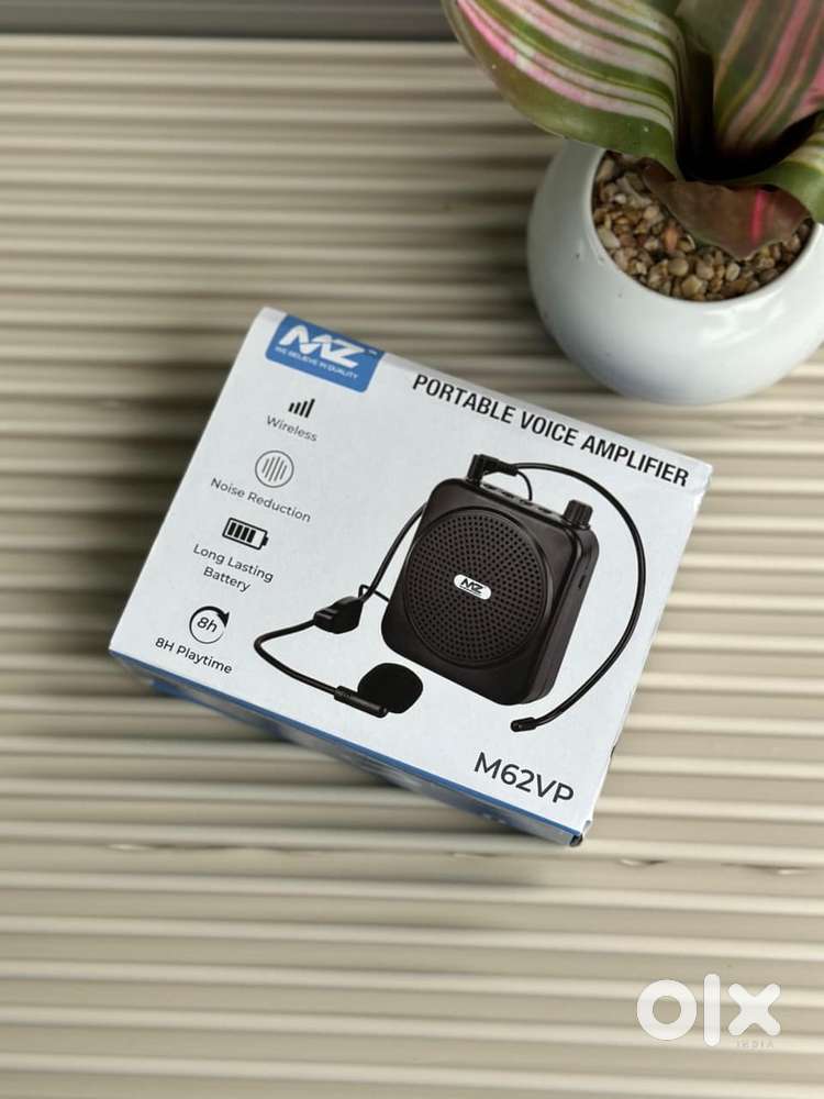 PROFESSIONAL TEACHING MIC