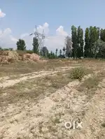 Land for sale 5 kanal per kanal rate 60 lac at chattergam
