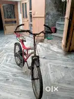 This is simple bicycle for sale