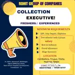 collection executive