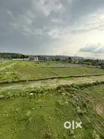 Deals in land