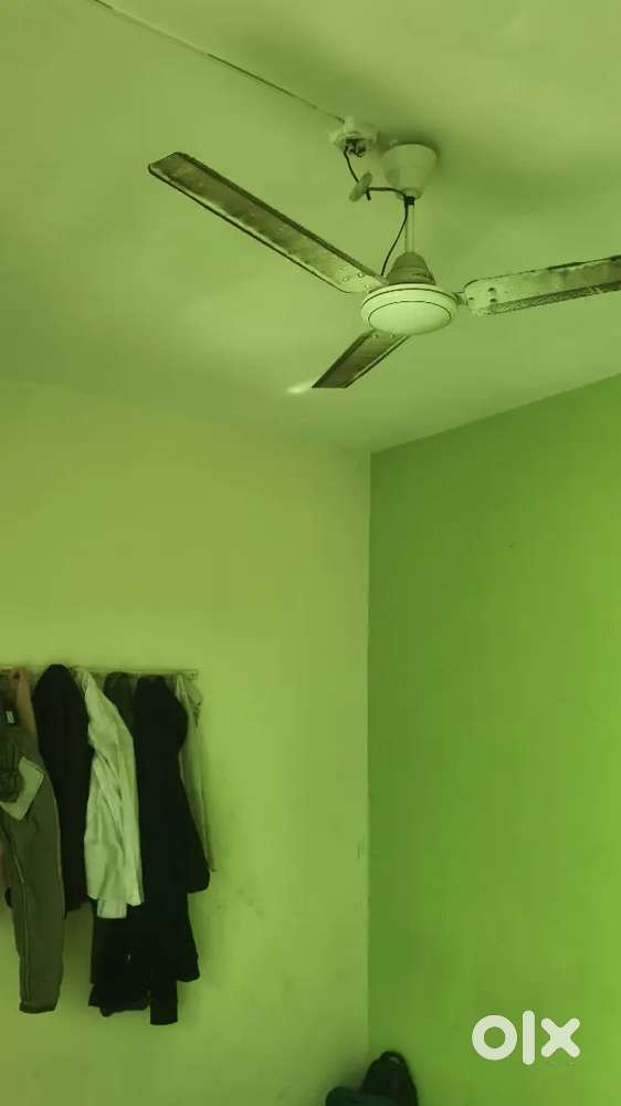 Male bachelors only 4 room mate needed