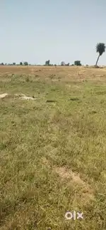 Land for sale near mustara station on main road