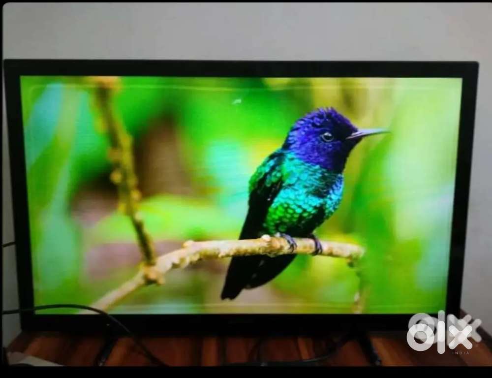 Sony HD TV