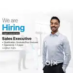 Sales excutive