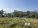 1 ACRE BEAUTIFUL VILLA LAND FOR SALE IN MANANTHAVADY
