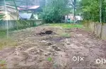 14 cent plot ചേർത്തല റെയിൽവേ സ്റ്റേഷൻ 900 മീറ്റർ
