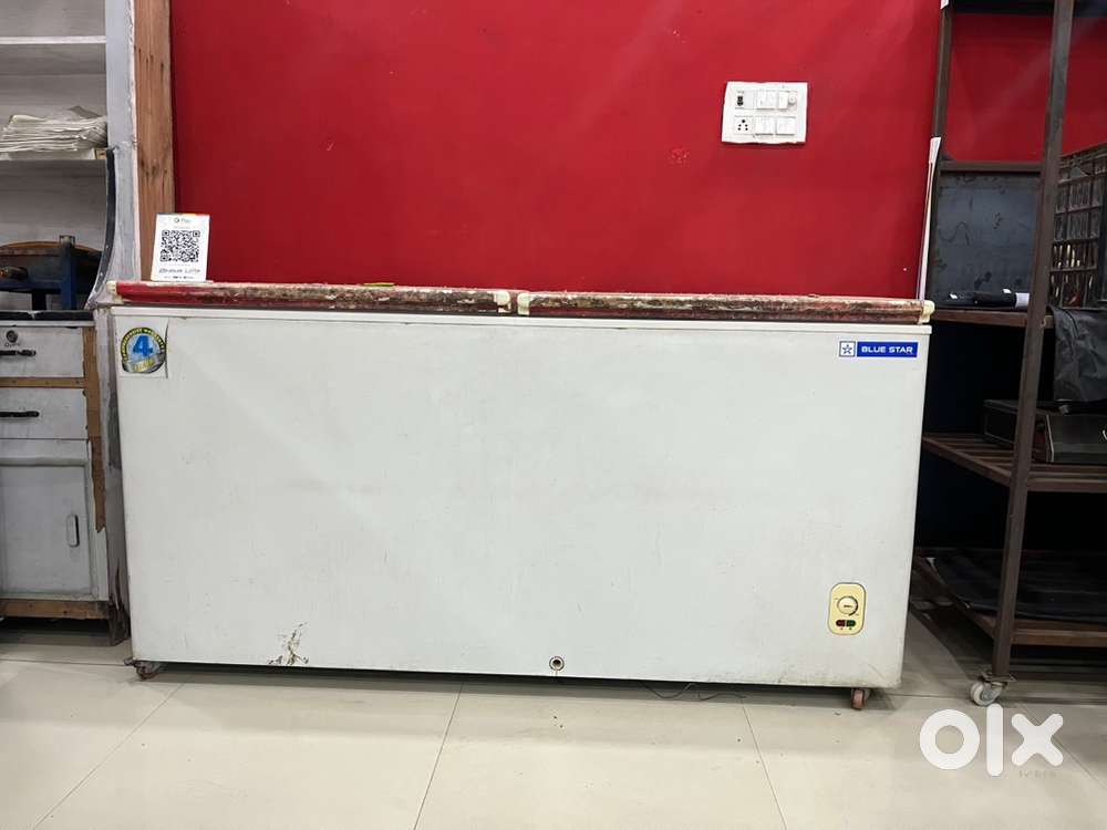 blue star double door deep freezer 500 liters