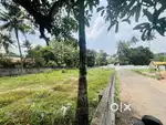 6 cent land Edapally parijatham road