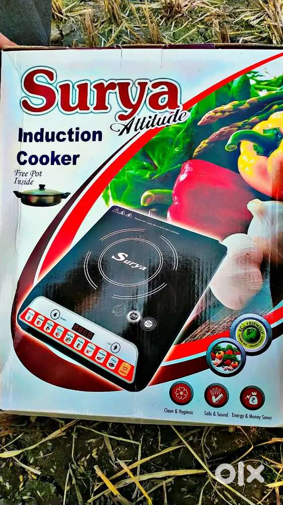 Induction cooker